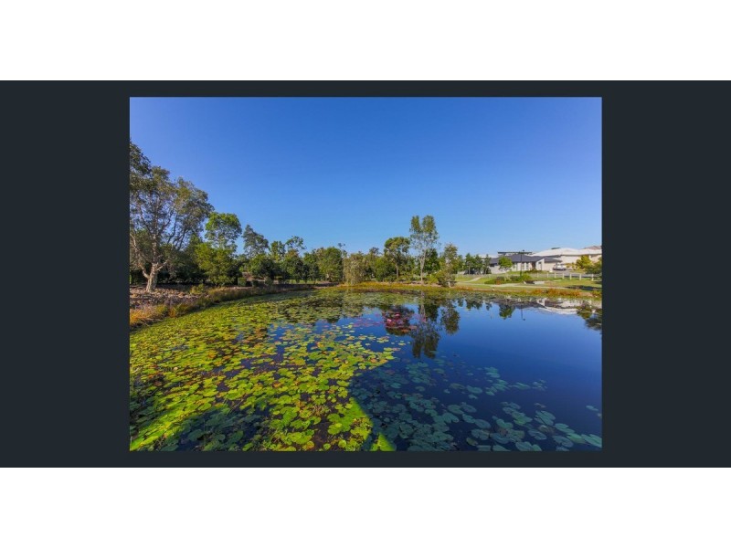 6 Picnic Creek Drive, Coomera QLD 4209