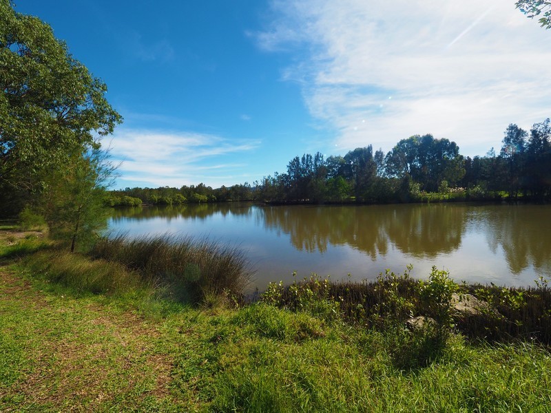 20 Ottelia Street, Elanora QLD 4221