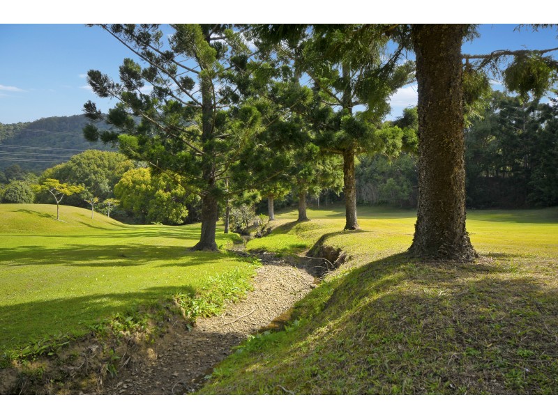 936 Currumbin Creek Road, Currumbin Valley QLD 4223
