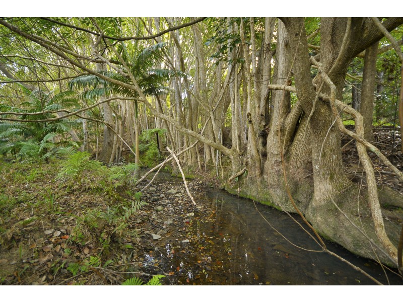 936 Currumbin Creek Road, Currumbin Valley QLD 4223