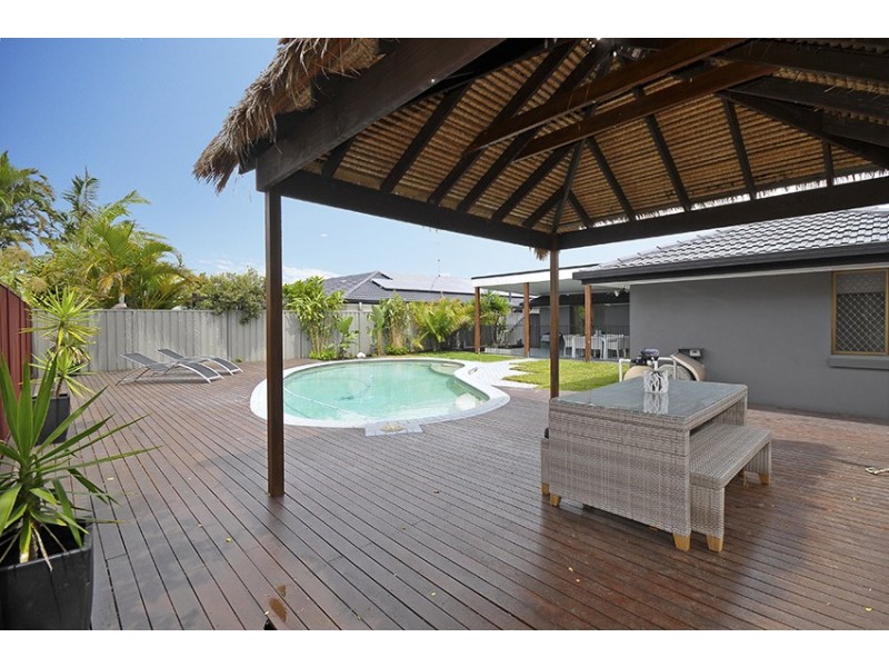 17 Walnut Street, Elanora QLD 4221