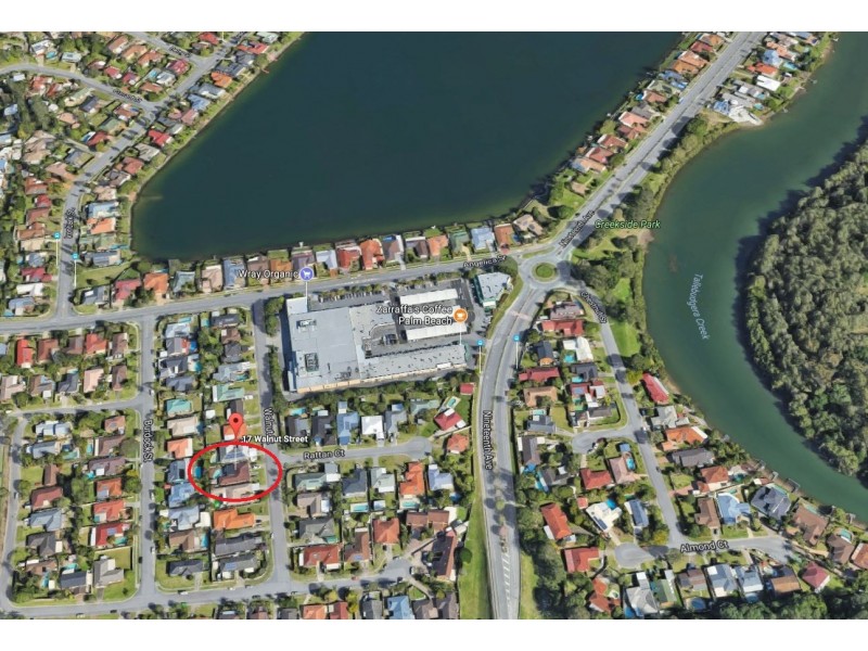 17 Walnut Street, Elanora QLD 4221