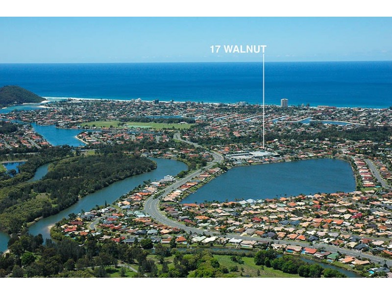 17 Walnut Street, Elanora QLD 4221