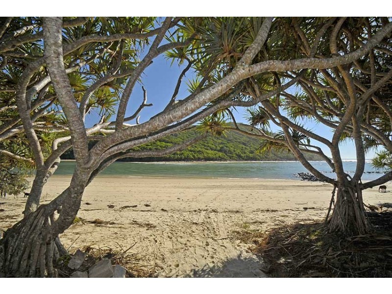 31 Twenty Third Avenue, Palm Beach QLD 4221