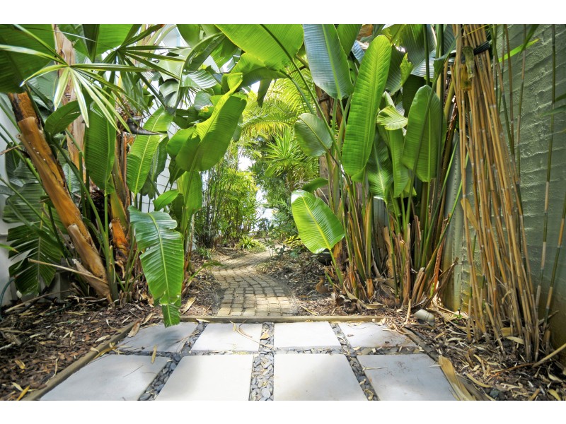 43 5th Ave., Palm Beach QLD 4221