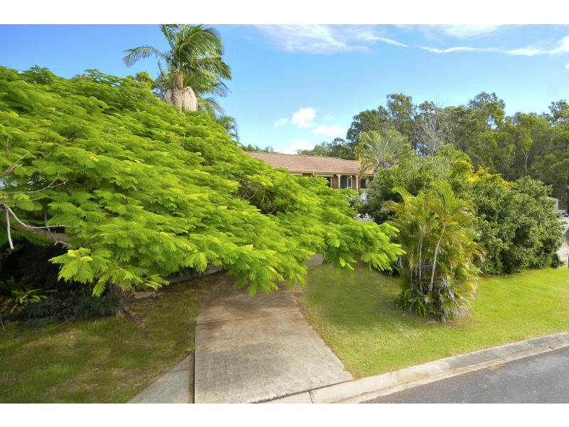 8 Haylett Court, Tallai QLD 4213