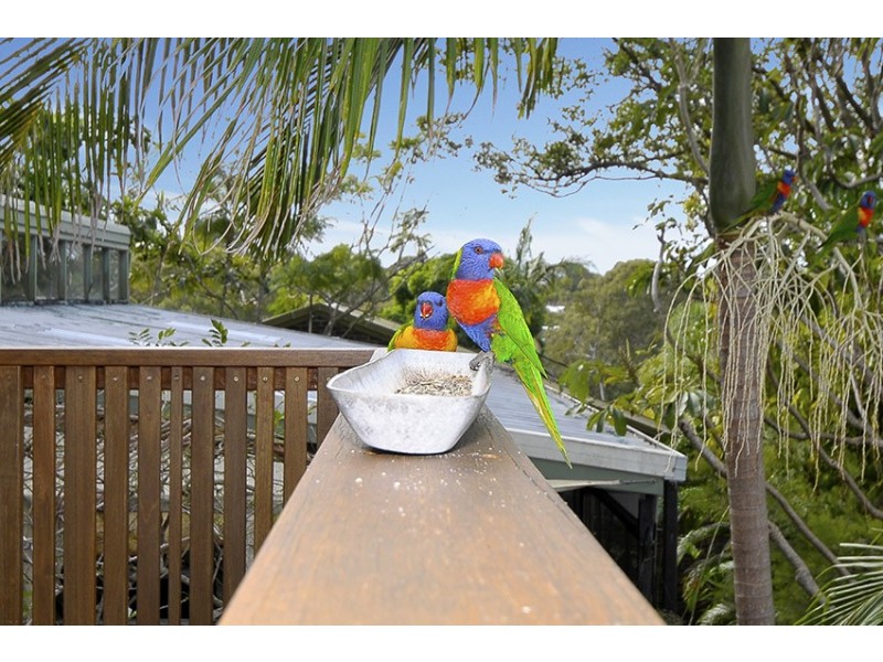 9 Walsh Street, Currumbin QLD 4223