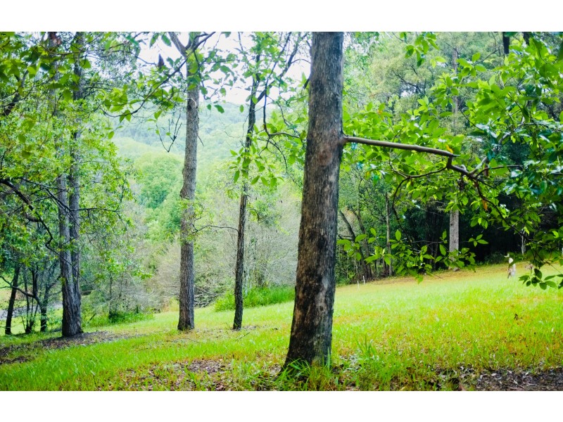 2 Warri Way, Currumbin Valley QLD 4223