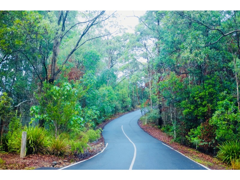 2 Warri Way, Currumbin Valley QLD 4223