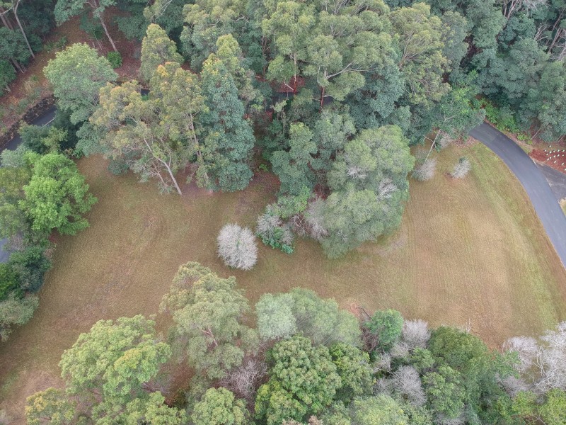 2 Warri Way, Currumbin Valley QLD 4223
