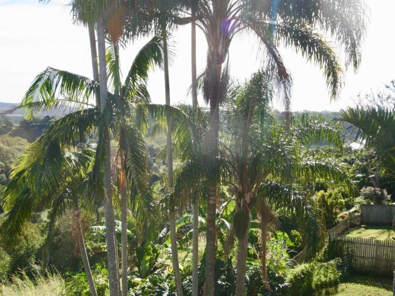 66 Peninsula Drive, Bilambil Heights NSW 2486