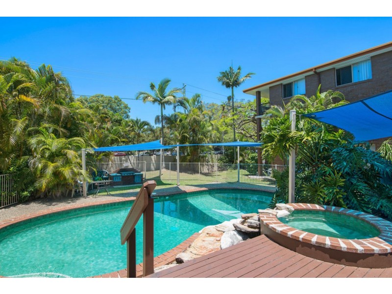 15/66 Sarawak Avenue, Palm Beach QLD 4221