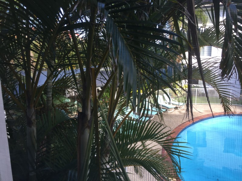 13/1306 Gold Coast Highway, Palm Beach QLD 4221