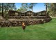 63 Simpsons Road, Elanora QLD 4221