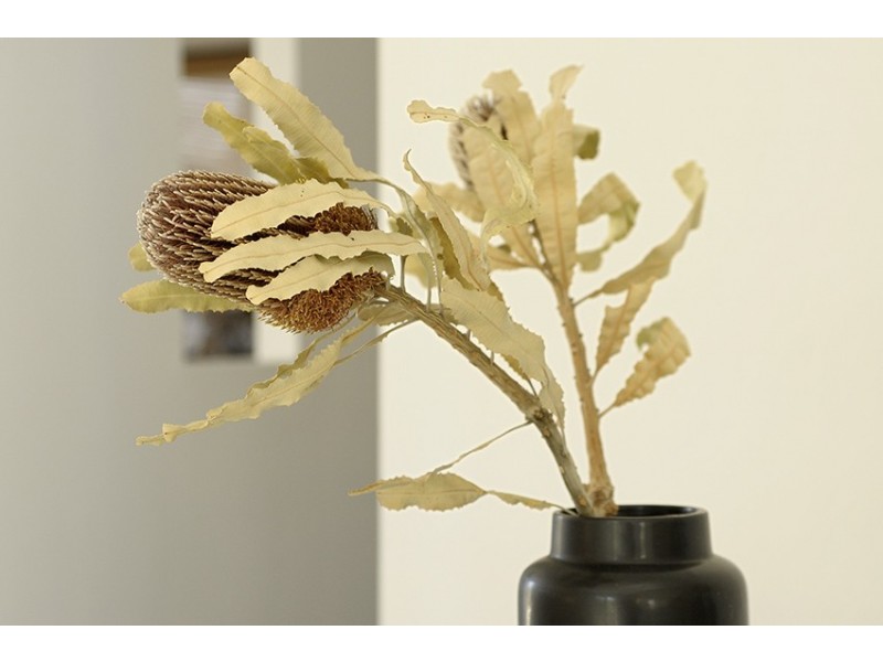 2/156 Johnston Street, Southport QLD 4215