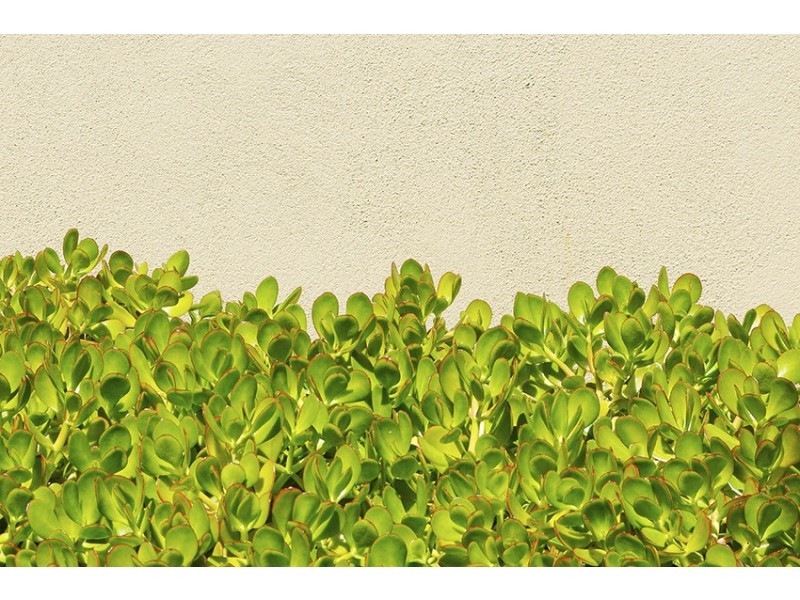 2/156 Johnston Street, Southport QLD 4215