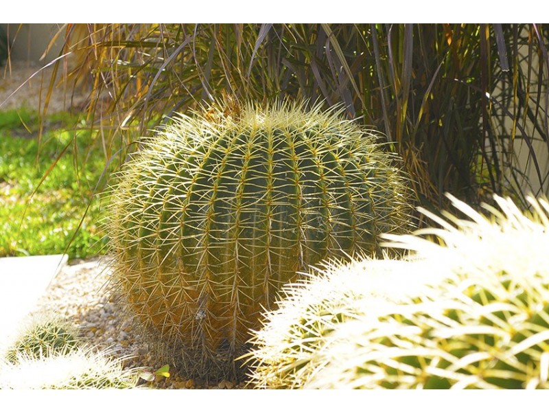 2/156 Johnston Street, Southport QLD 4215