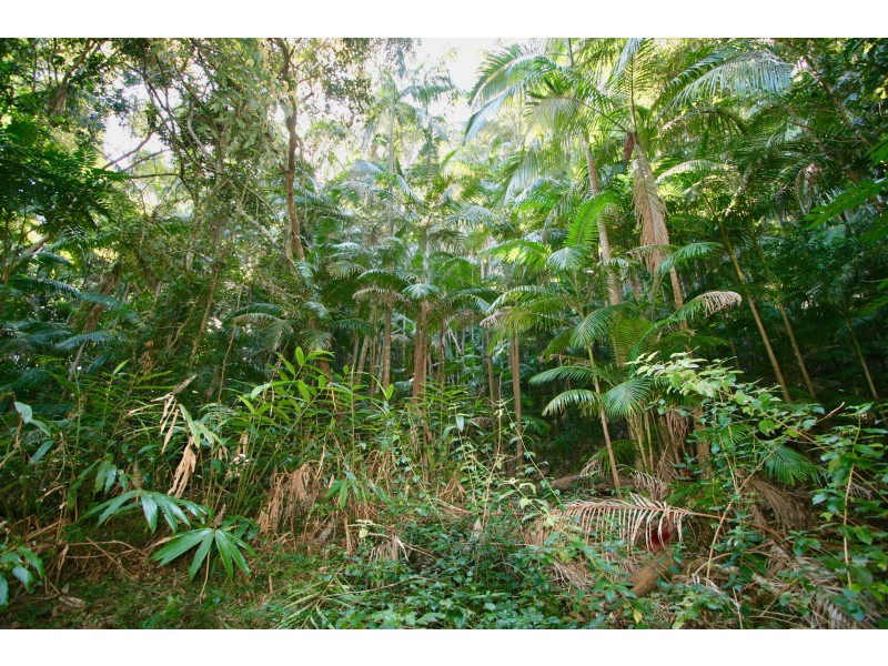 134 Blissetts Road, Carool NSW 2486