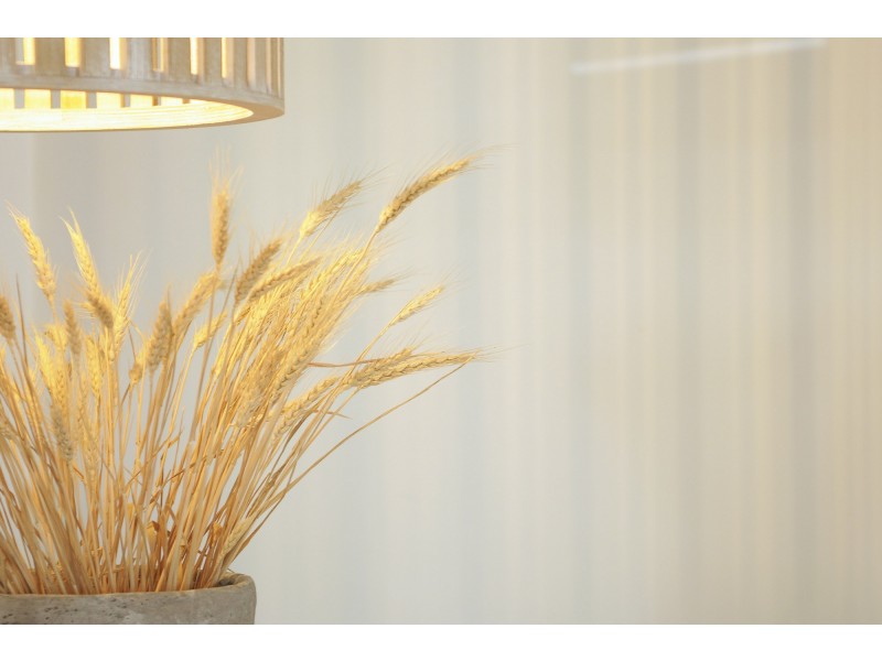 21 Vista Street, Elanora QLD 4221