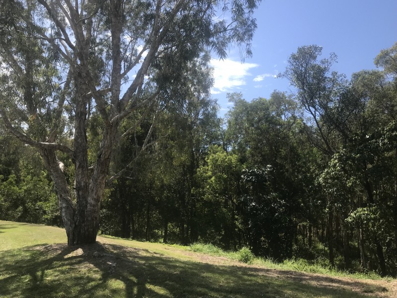 35 McKenzie Drive, Currumbin Waters QLD 4223