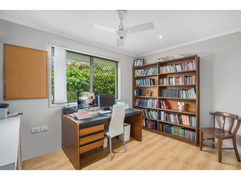 16 Eucalypt Street, Palm Beach QLD 4221