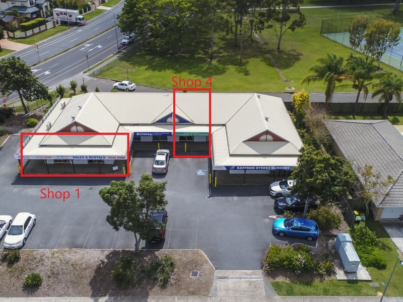 2 Saffron Street, Elanora QLD 4221