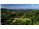 603 Tomewin Mountain Road, Currumbin Valley QLD 4223