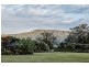 603 Tomewin Mountain Road, Currumbin Valley QLD 4223