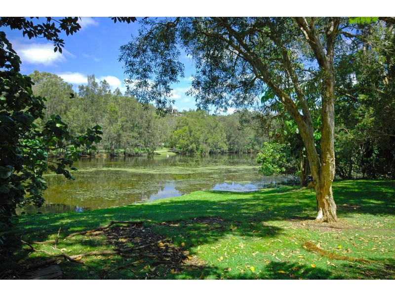 37/527 Gold Coast Highway, Tugun QLD 4224