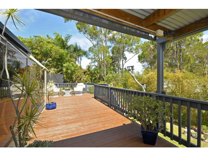 16 Currant Street, Elanora QLD 4221