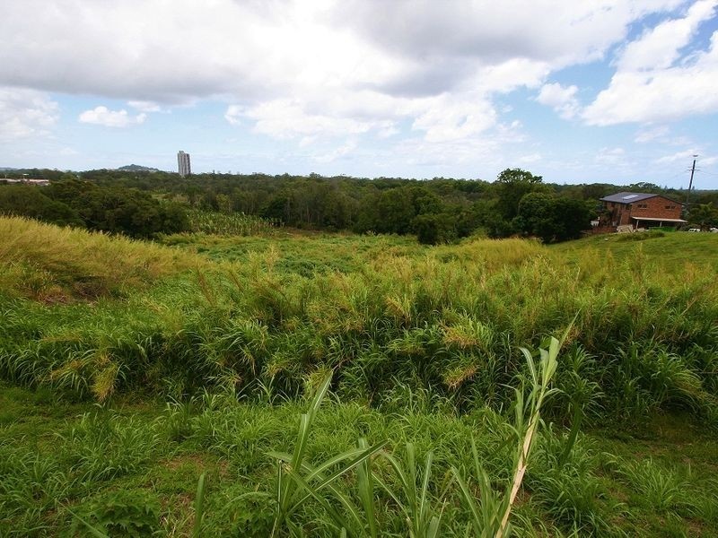 4 Boyle Avenue, Banora Point NSW 2486