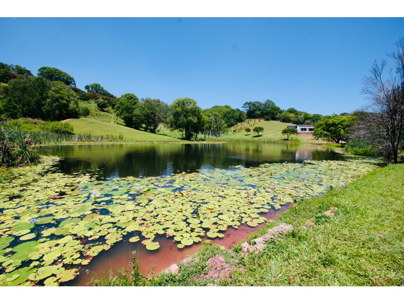 8 Biral Close, Bilambil NSW 2486