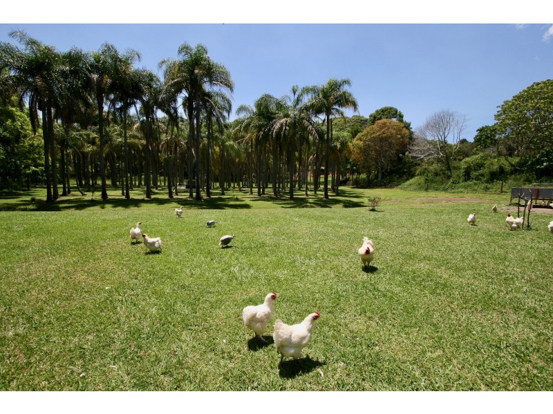 8 Biral Close, Bilambil NSW 2486