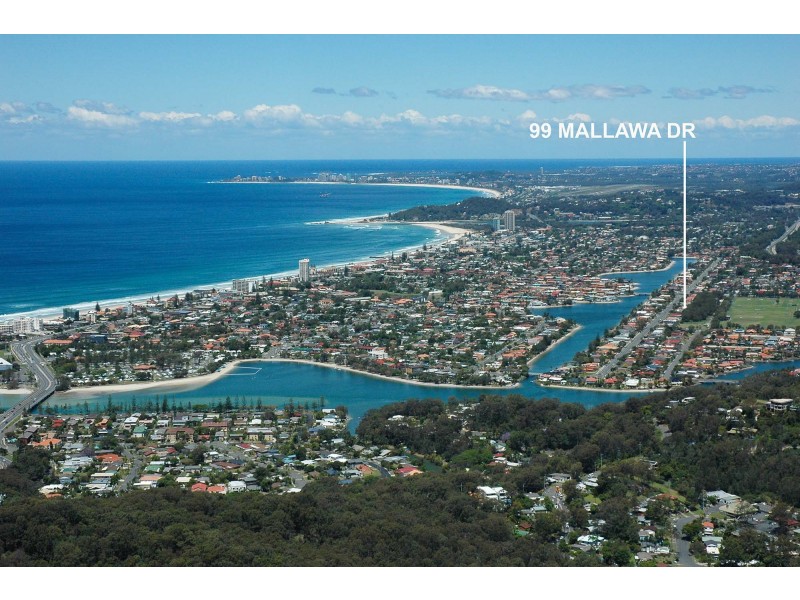 99 Mallawa Drive, Palm Beach QLD 4221