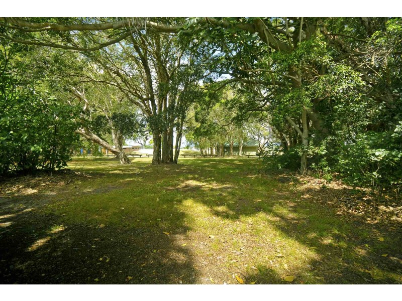 99 Mallawa Drive, Palm Beach QLD 4221