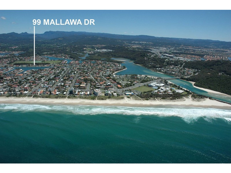 99 Mallawa Drive, Palm Beach QLD 4221