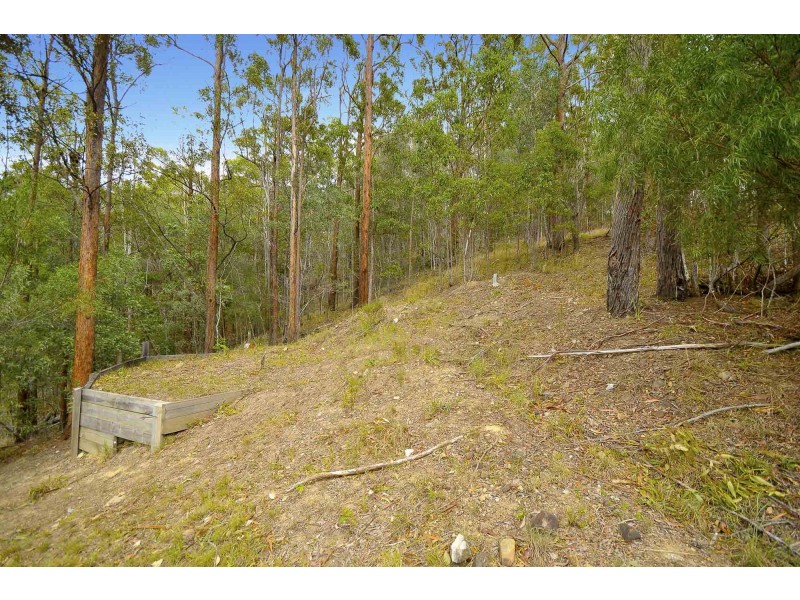 169 Galleon Way, Currumbin Waters QLD 4223