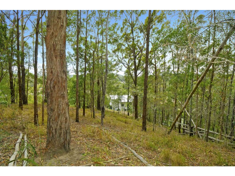 169 Galleon Way, Currumbin Waters QLD 4223