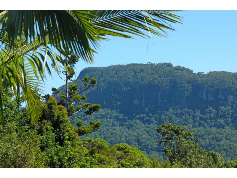 699 Tomewin Mountain Road, Currumbin Valley QLD 4223