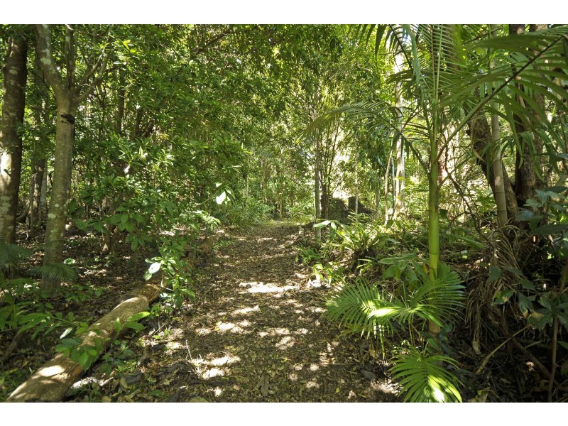 699 Tomewin Mountain Road, Currumbin Valley QLD 4223