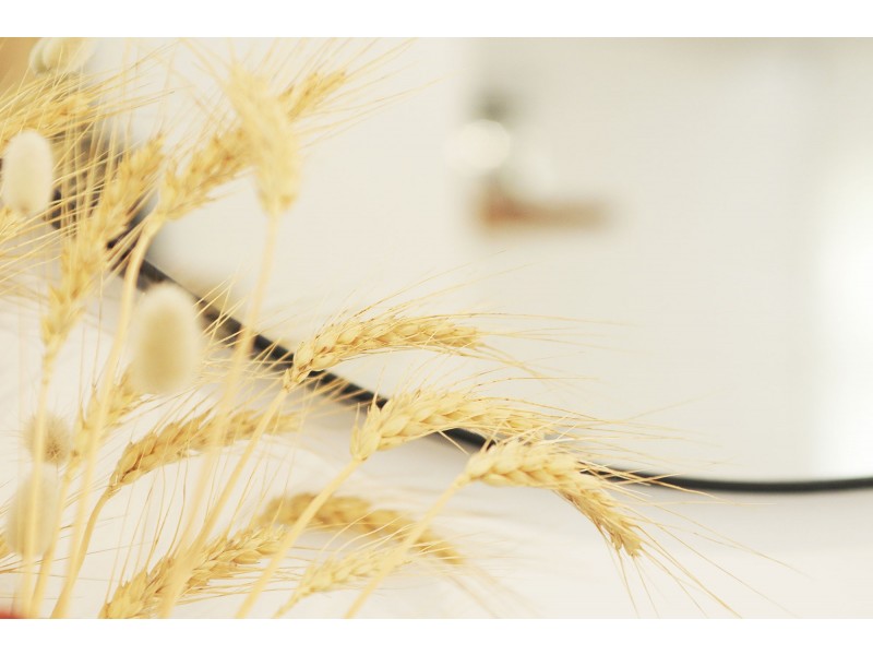 548 Gold Coast Highway, Tugun QLD 4224