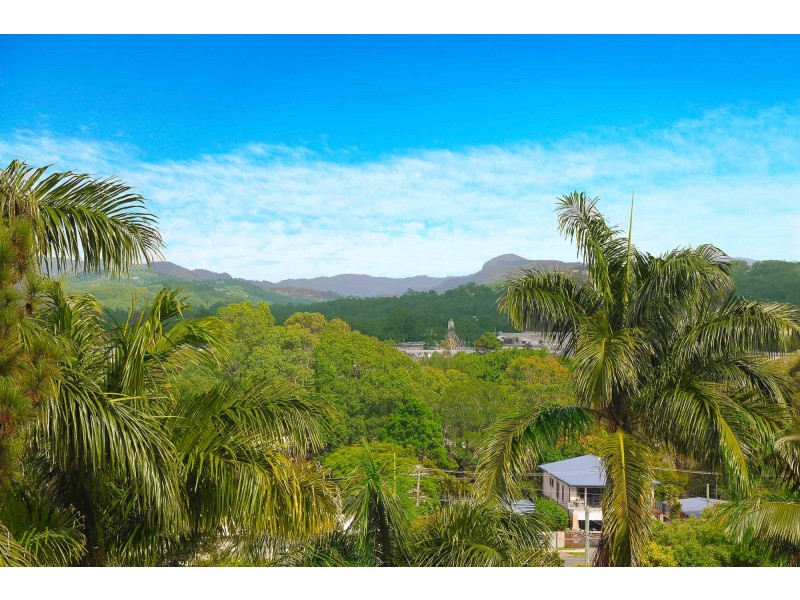 19 Alpha Avenue, Currumbin QLD 4223