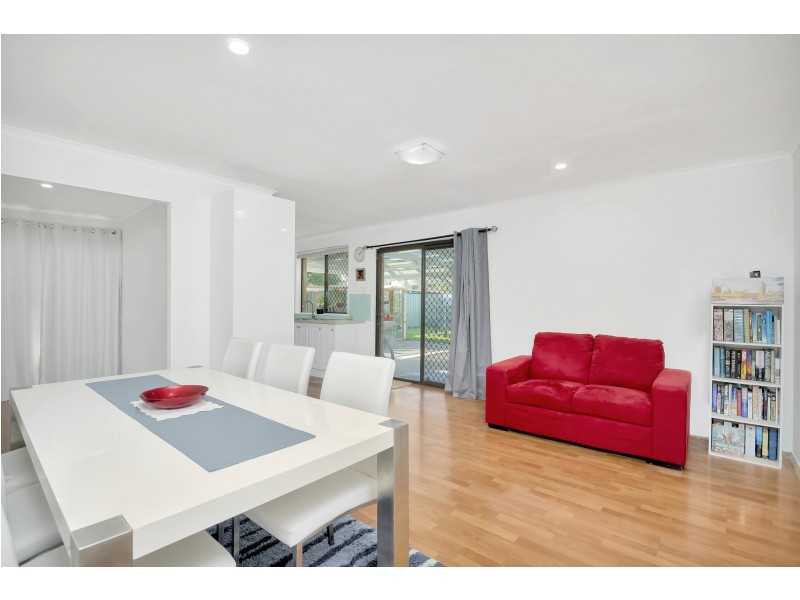 14 Amadeus Street, Elanora QLD 4221