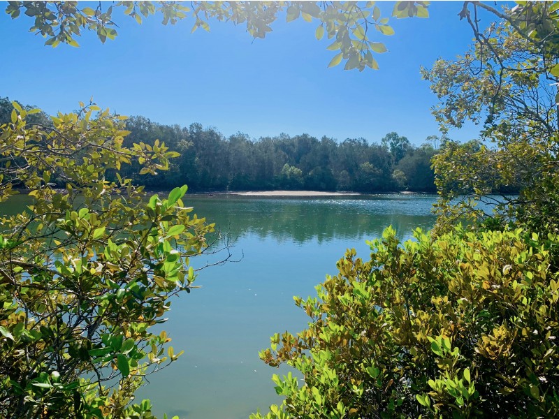 5 Kentia Court, Elanora QLD 4221