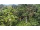 658 Tomewin Mountain Road, Currumbin Valley QLD 4223