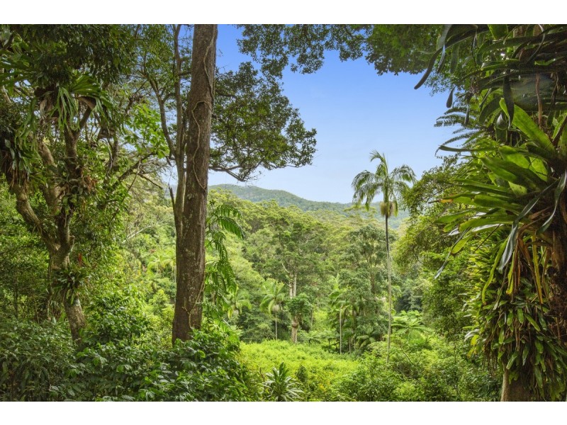 658 Tomewin Mountain Road, Currumbin Valley QLD 4223