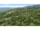658 Tomewin Mountain Road, Currumbin Valley QLD 4223