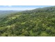 658 Tomewin Mountain Road, Currumbin Valley QLD 4223