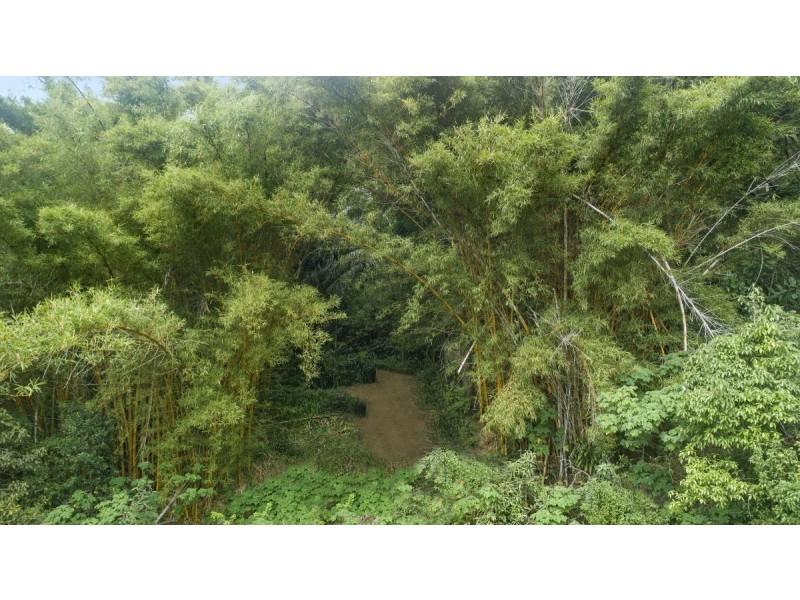 658 Tomewin Mountain Road, Currumbin Valley QLD 4223