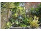 11 Tallebudgera Drive, Palm Beach QLD 4221